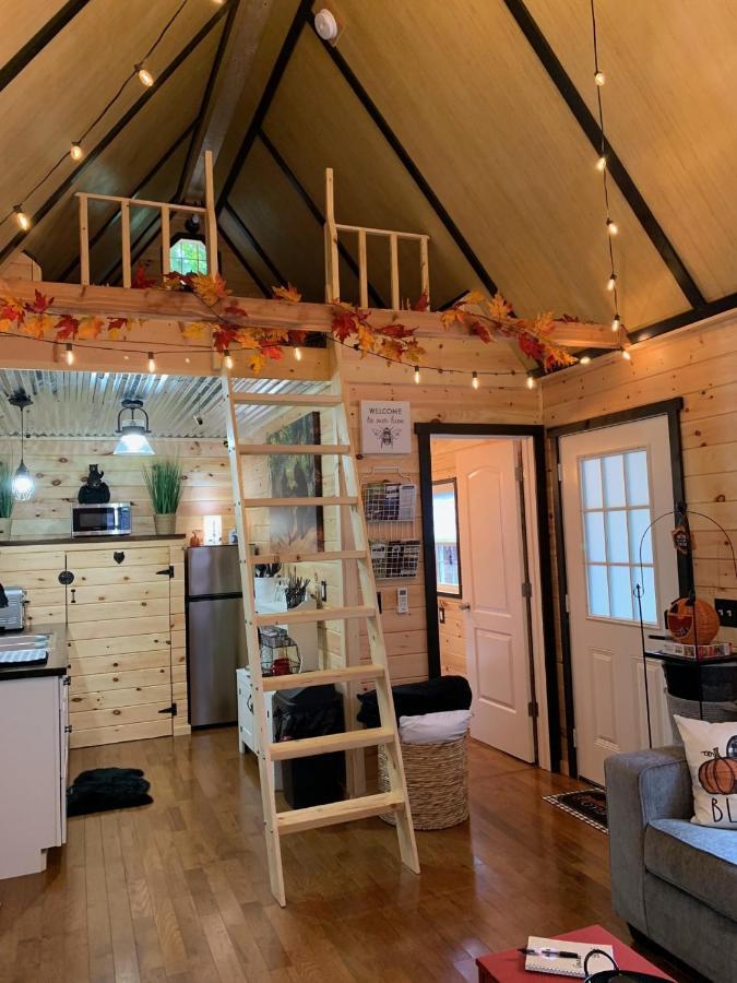 Coops Creek Cabins Dunlap Kültér fotó