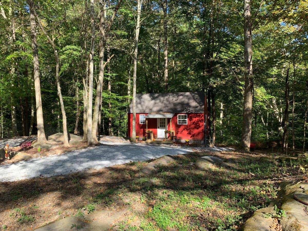 Coops Creek Cabins Dunlap Kültér fotó