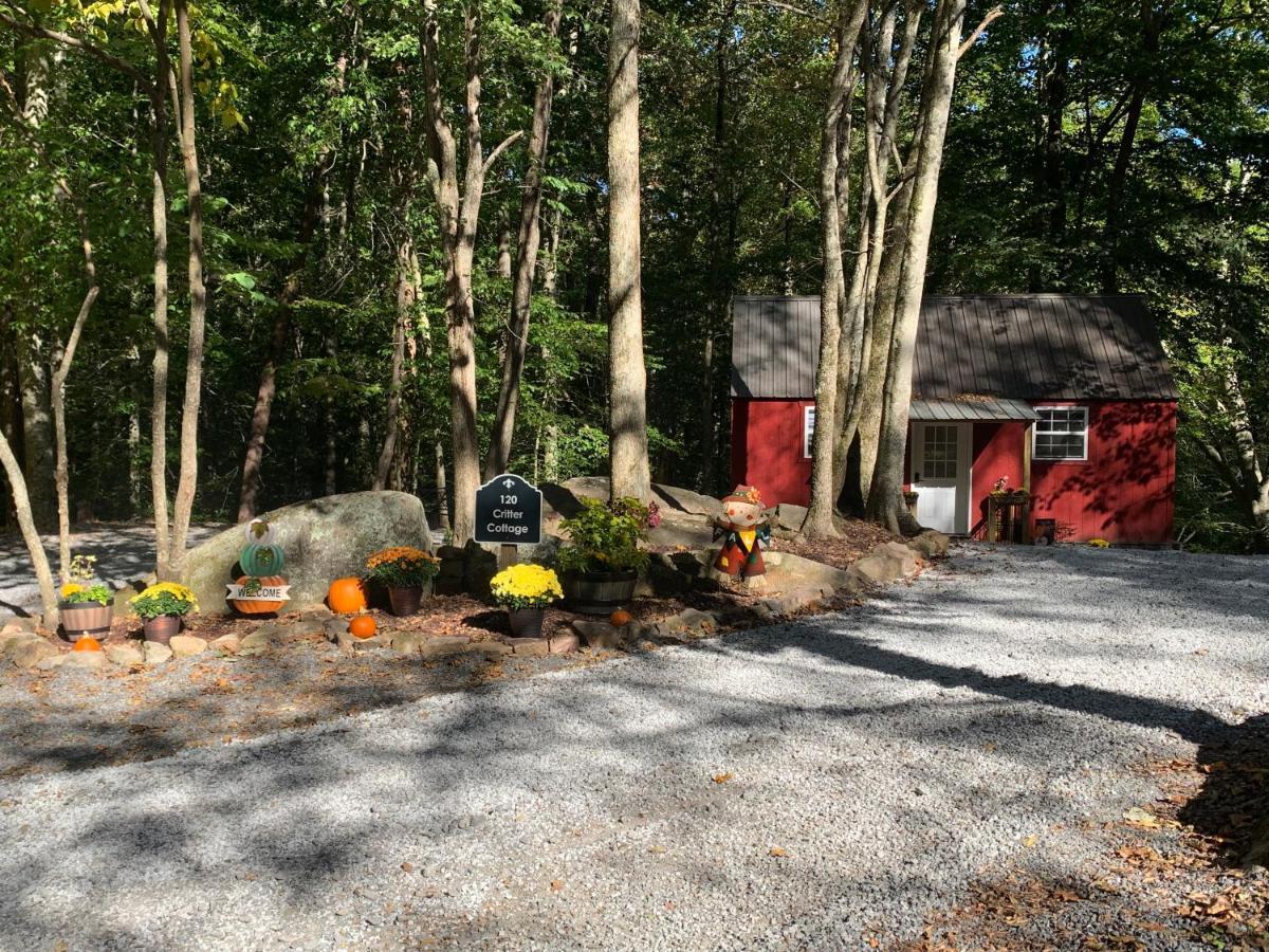Coops Creek Cabins Dunlap Kültér fotó